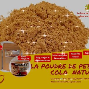 Poudre de Petit Cola Nature