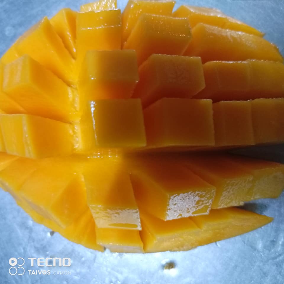 Mangue séchée – Image 6