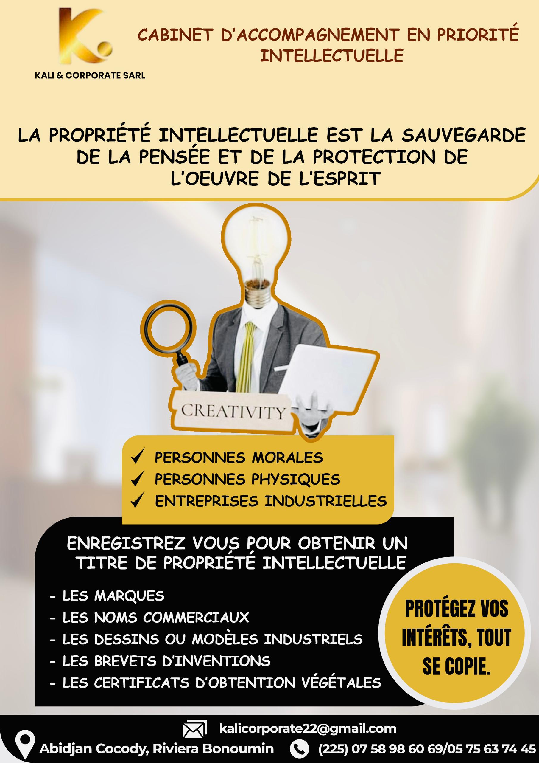 Conseils en propriétés intellectuelles